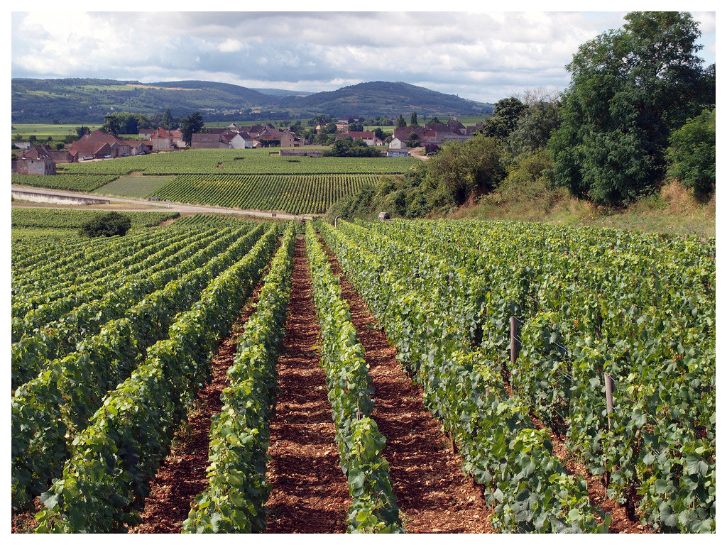 Chassagne-Montrachet