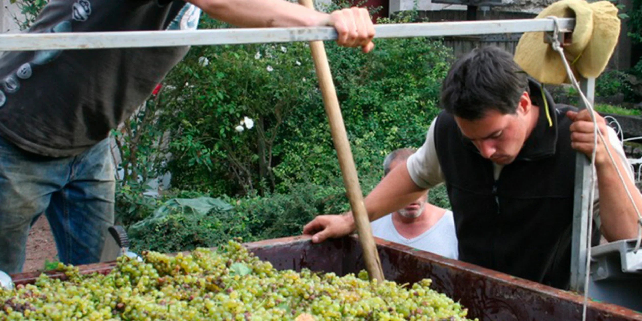 Domaine Chavy-Chouet