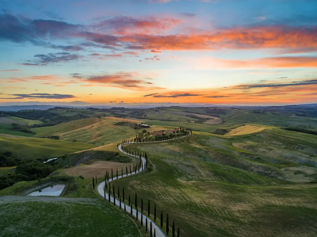 Vine fra Italien