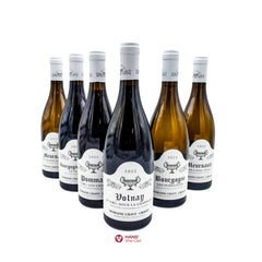 Domaine Chavy-Chouet 2022 Tasting Case