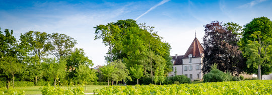 Domaine du Clos Frantin