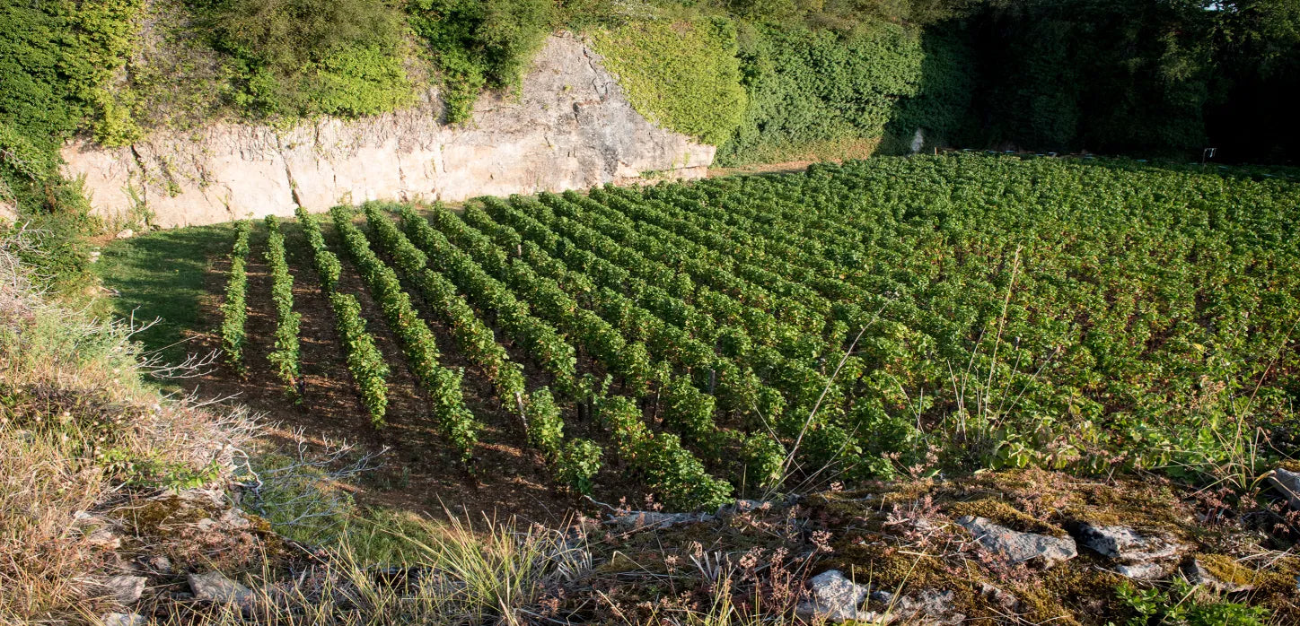 Domaine Heresztyn-Mazzini