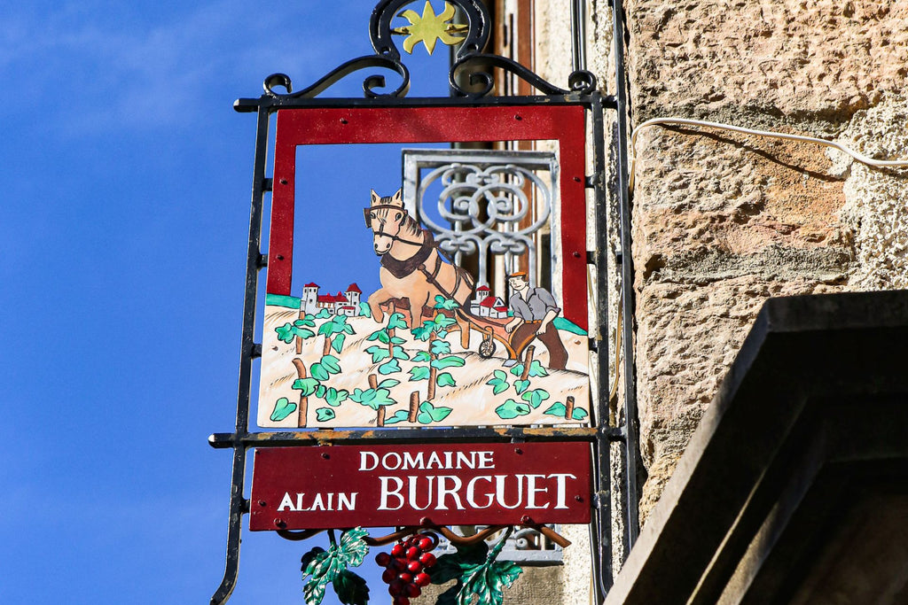 Domaine Jean-Luc & Eric Burguet