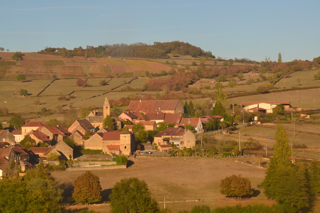 Alle Bourgogne vine