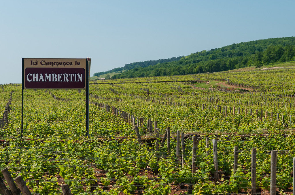 Gevrey-Chambertin