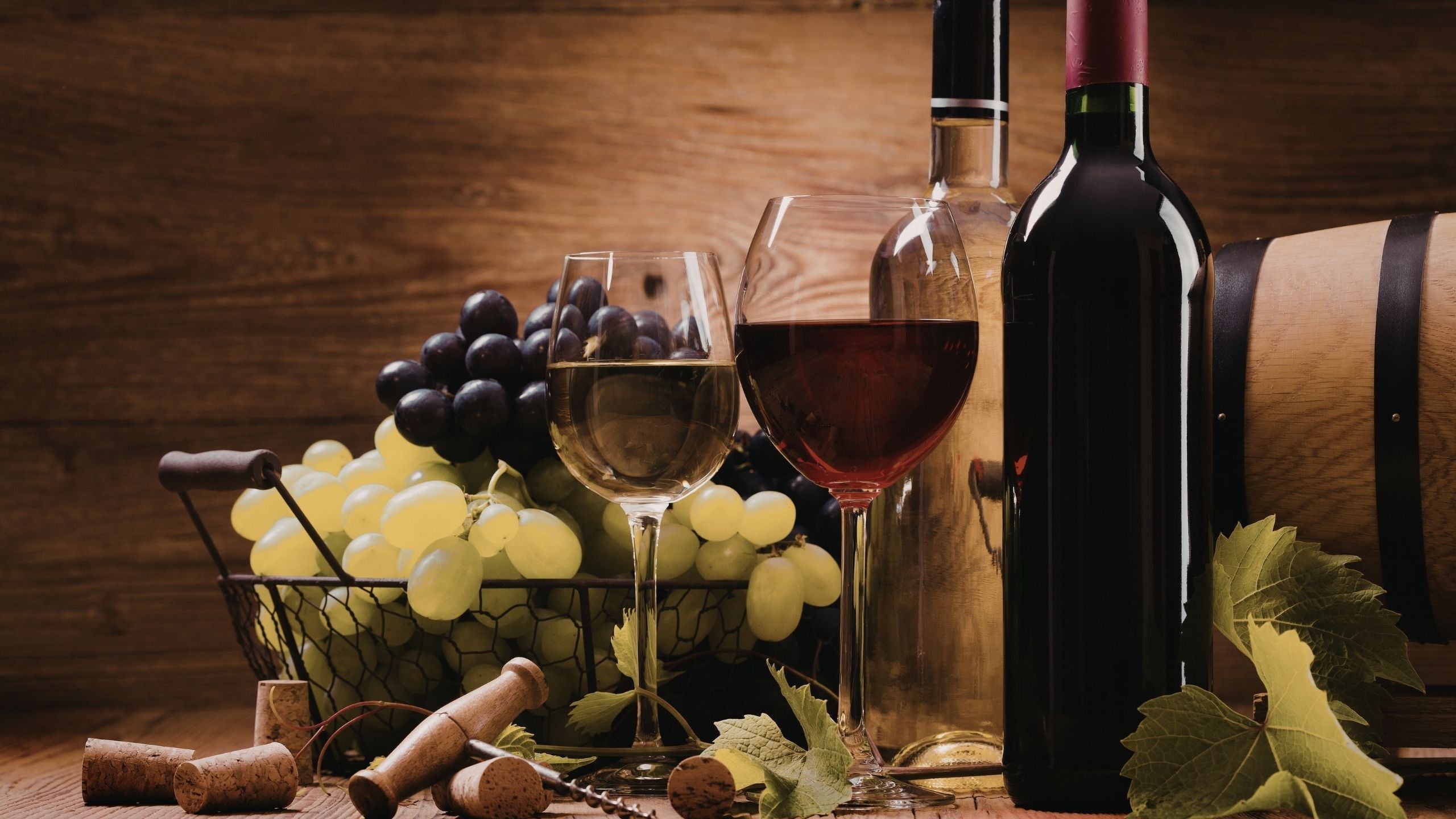 Årstidernes vinoplevelser