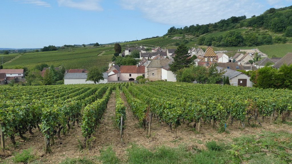 Santenay