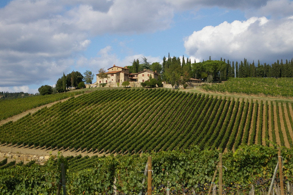 Toscanske vine fra 2020-årgangen