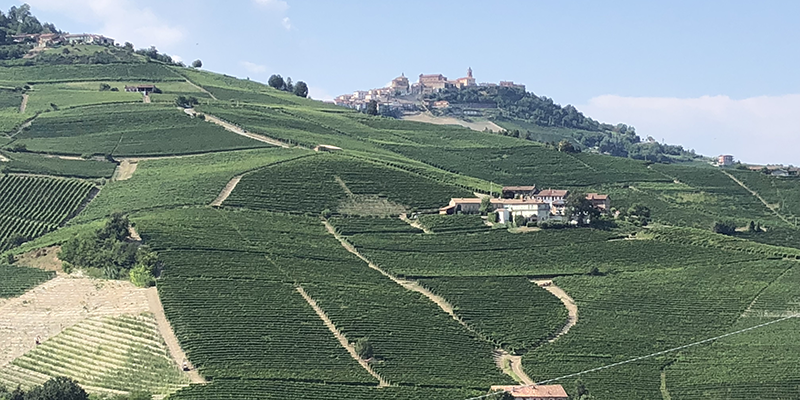 Barolo