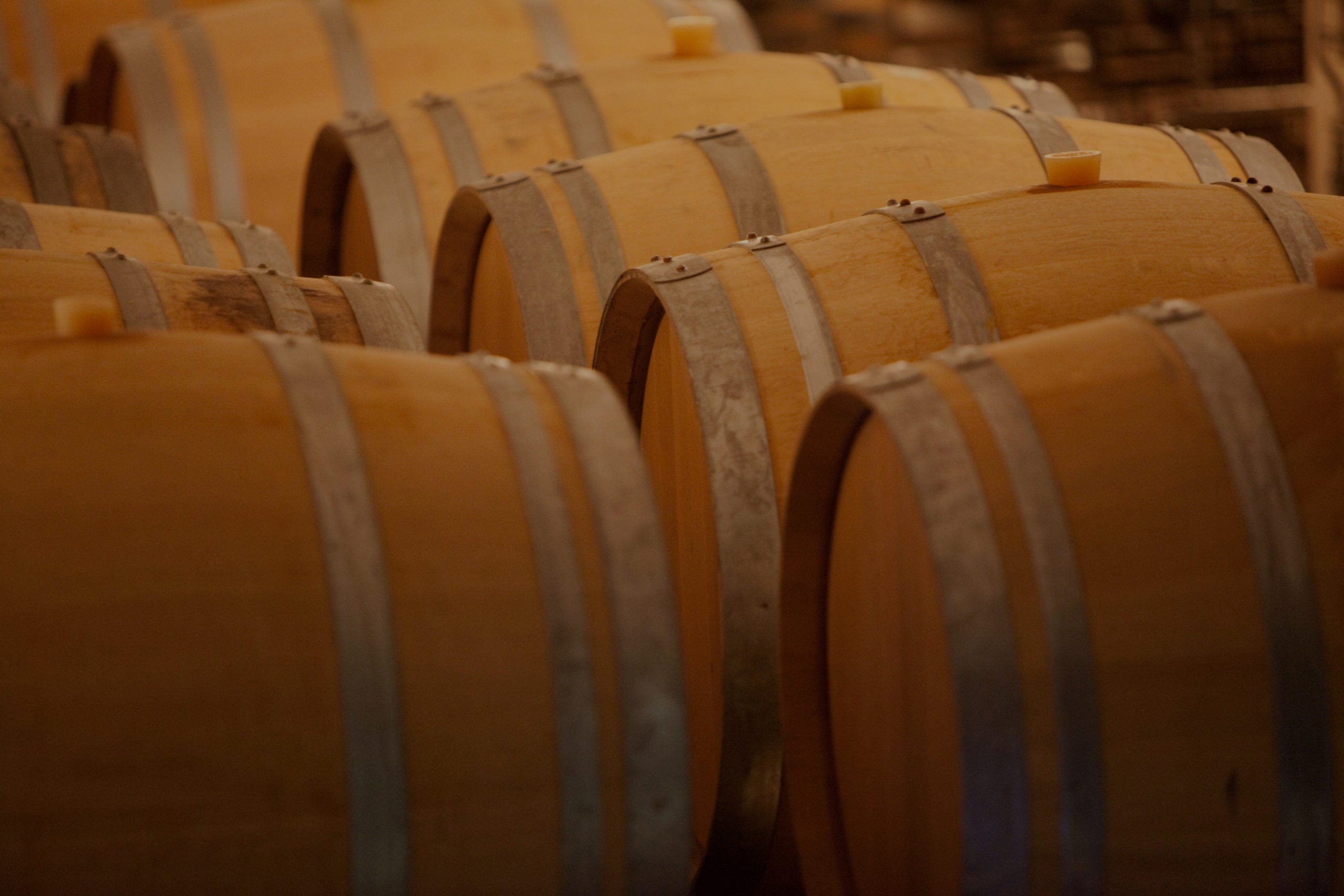 Domaine Amiot Guy