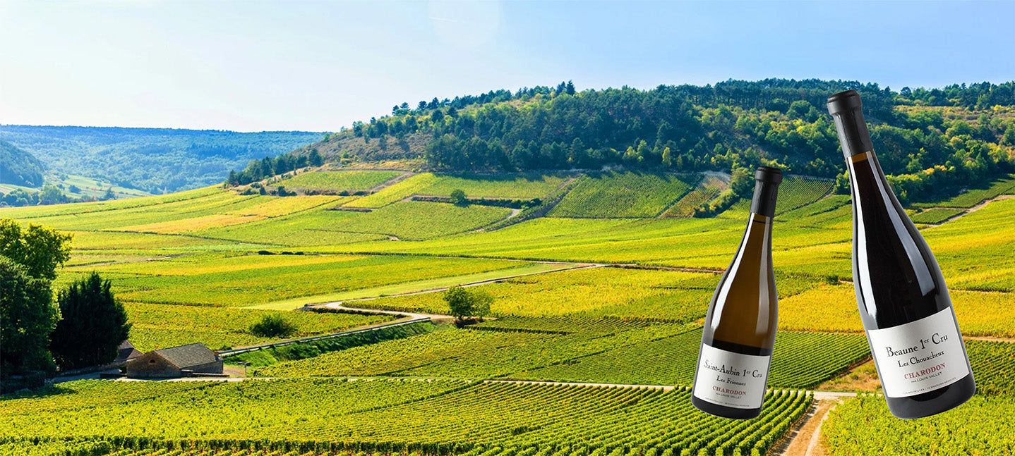 Bourgogne Oprydningsudsalg