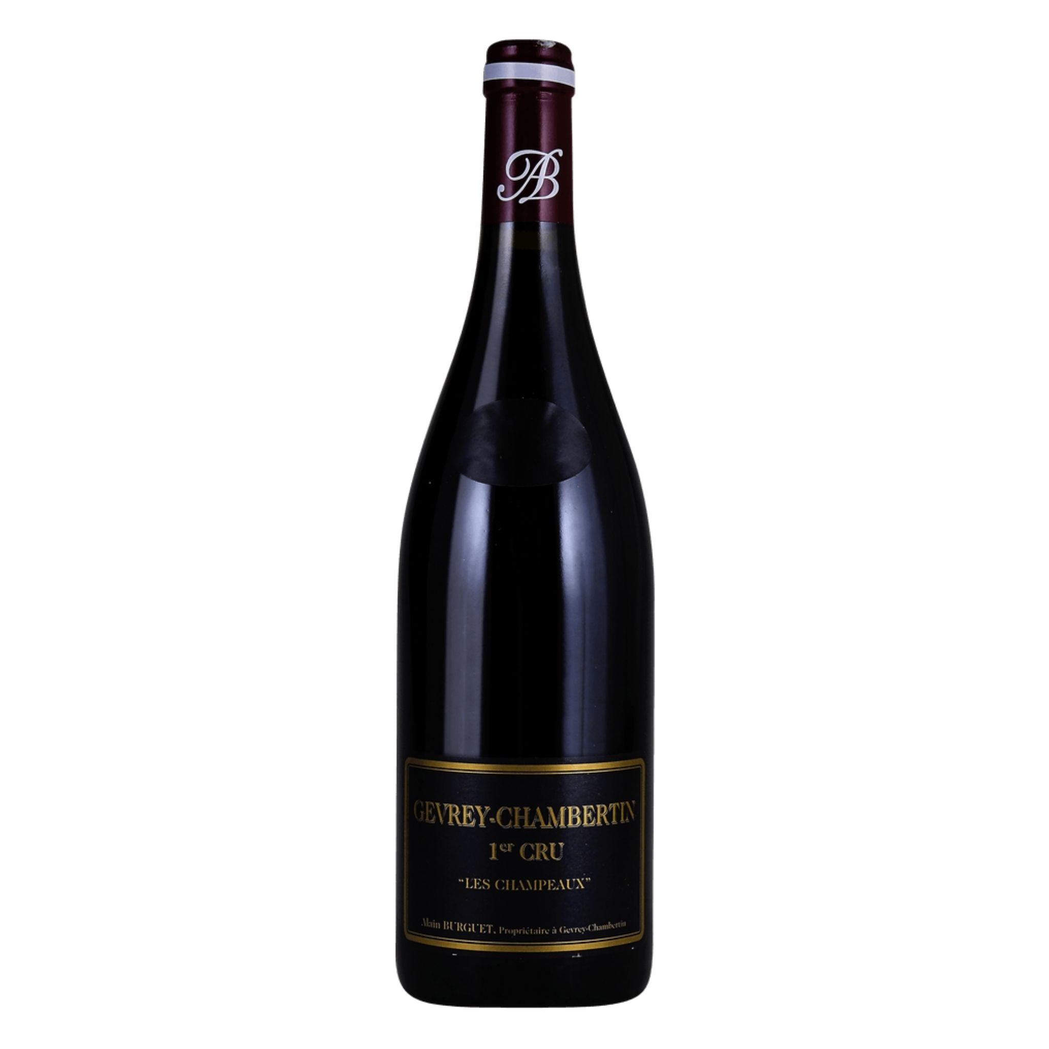 Domaine Jean-Luc & Eric Burguet Gevrey-Chambertin Premier Cru Les Champeaux, Bourgogne, 2021, 75cl