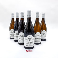 Domaine Chavy-Chouet 2022 Tasting Case